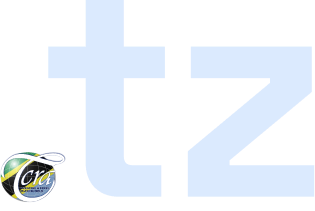 tz logo
